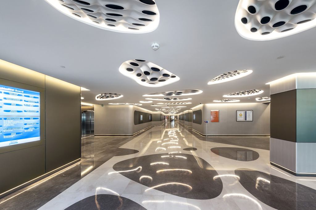 Liv Hospital Ulus — Istanbul, Turkey