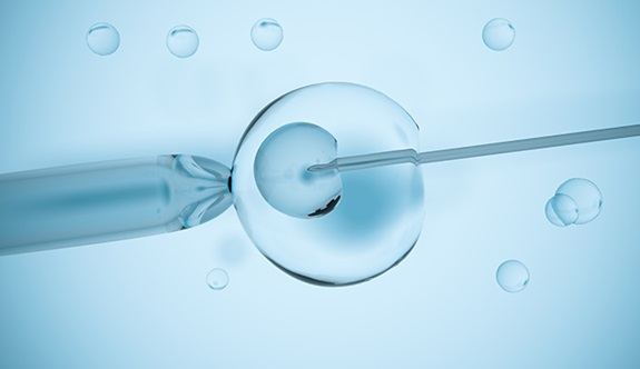Dr. Mehmet Koç IVF Clinic | Tüp Bebek Merkezi | IVF Center — Istanbul, Turkey